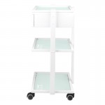 Syis Wheeled aesthetic assistant 1040A White - 0124743 HELPING CABINETS