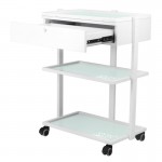 Syis Wheeled aesthetic assistant 1040A White - 0124743 HELPING CABINETS