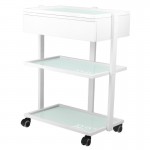 Syis Wheeled aesthetic assistant 1040A White - 0124743 HELPING CABINETS