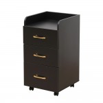 Wheeled beauty assistant Black Gold -6961057 HELPING CABINETS