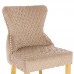 Luxury Chair French Velvet Lion King Light Brown Gold-5470228 KING & QUEEN FURNITURE