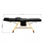 Professional tattoo & aesthetic chair Gold Black-0148492