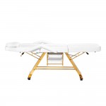 Professional tattoo & aesthetic chair Gold White-0148493