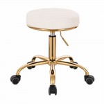 Professional hairdressing stool Large Seat White Gold- 5420172 STOOLS WITHOUT BACK